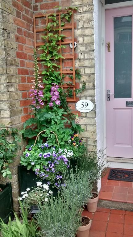 The Terrace Bed & Breakfast Iffley Ngoại thất bức ảnh